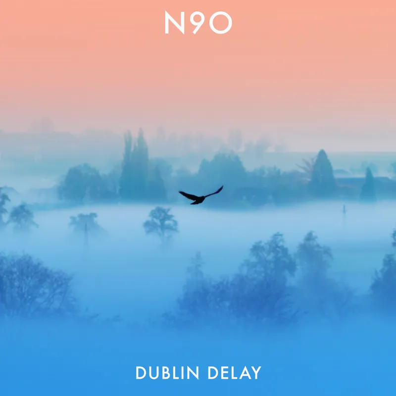 Dublin Delay