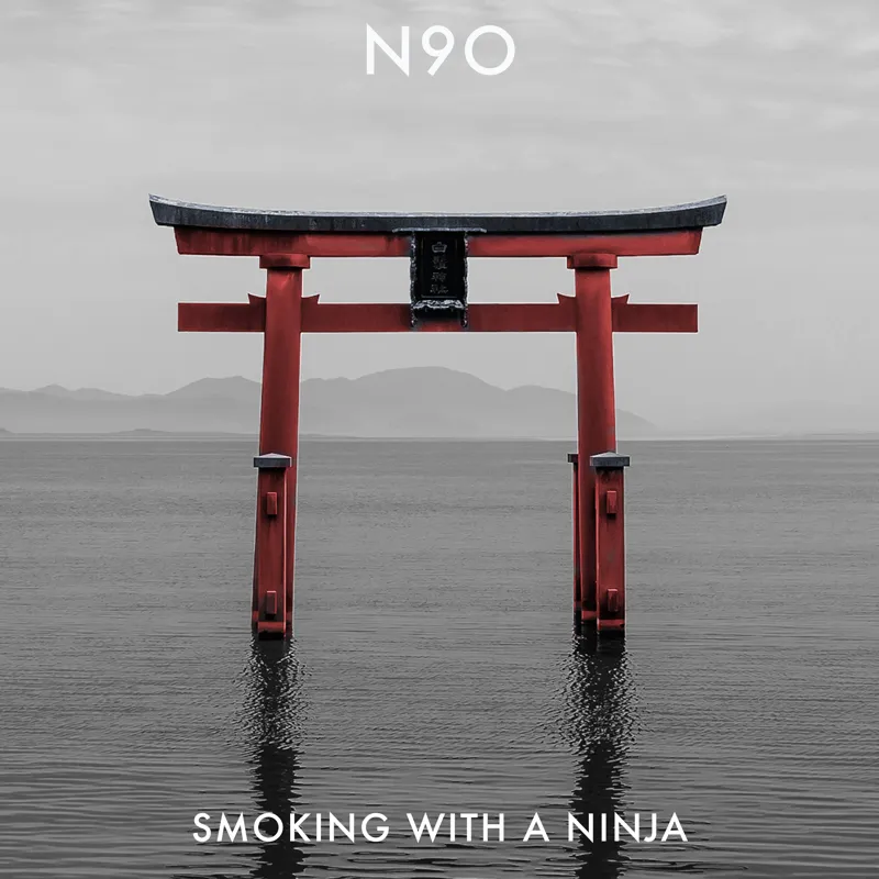 Smoking with a Ninja